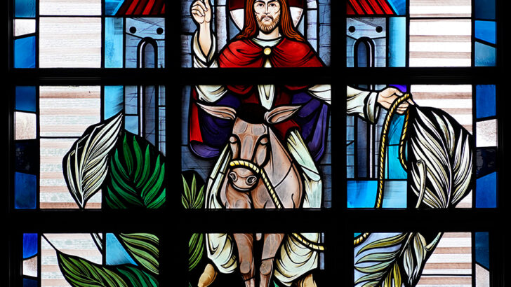This is the King of the Jews