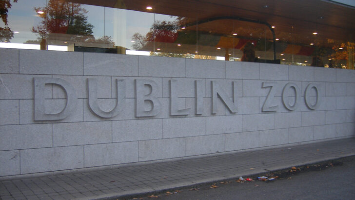 ‘Would you ever cop on?’ – Dublin Zoo’s Mother’s Day campaign debacle