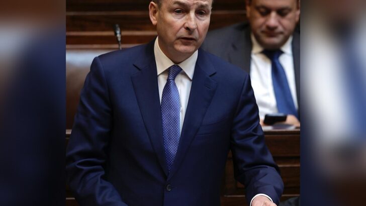 Taoiseach will regret his flippancy on care for gender and kids