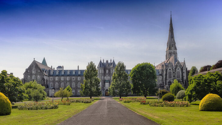 ‘Cultivate relationships’: Maynooth Union celebrates priestly friendship in the age of AI