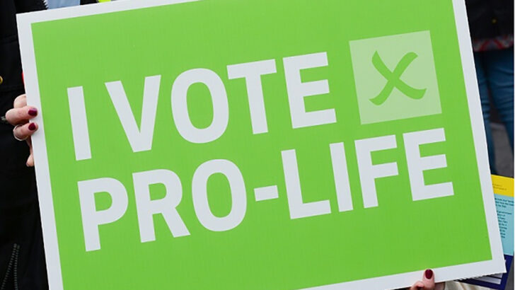 Why pro-life voters need to fully engage in upcoming by-elections