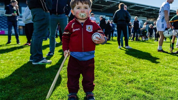 Munster’s great contradiction: Waterford and the health of hurling