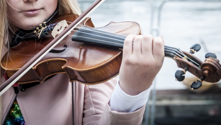 Shona fiddles while Ray burns in picaresque pastoral