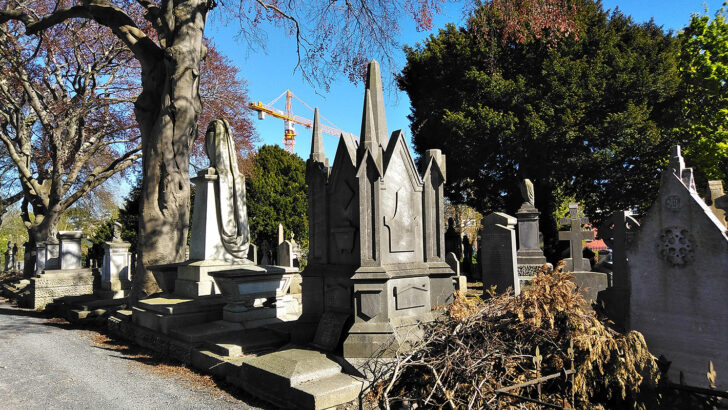 The memory of the dead