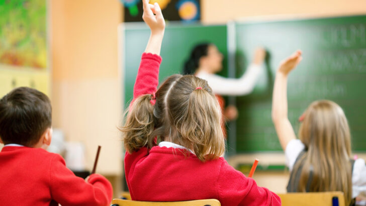 Demand for school divestment is mainly a middle class thing