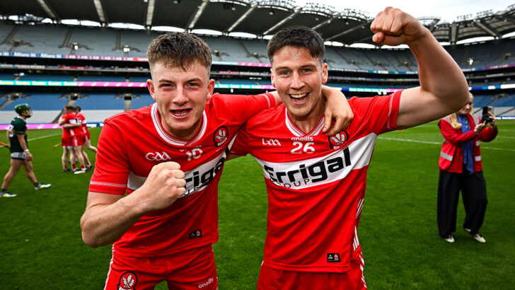 Building beyond the heartlands: hurling’s search for growth