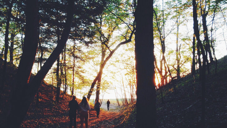 Walk in gentle freedom