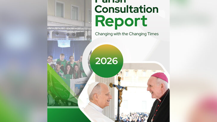 Co-responsibility without co-governance: Limerick and the limits of synodality