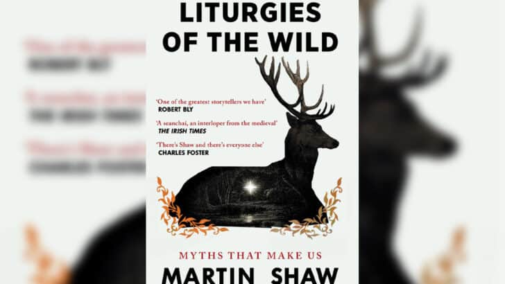 How myths and fairy stories make us human