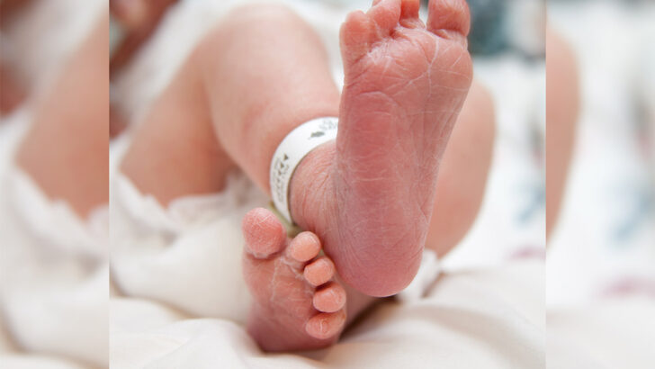 What the latest abortion figures reveal – and what the Govt left out