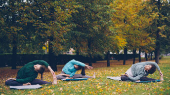 Reflections on yoga and the notion of the inner journey