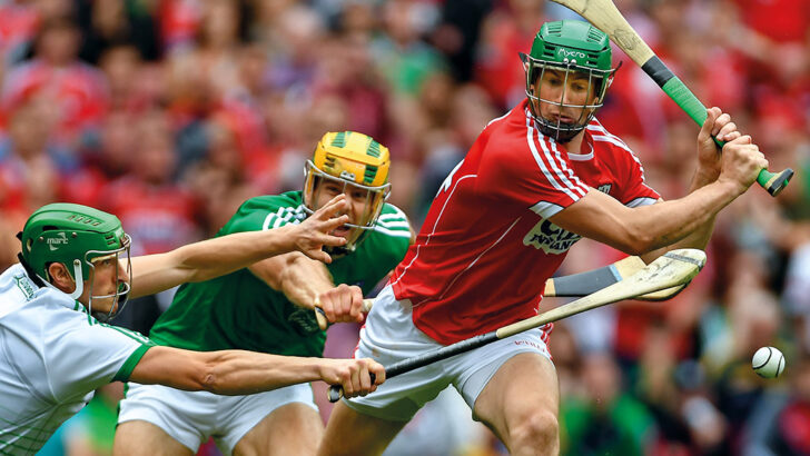 A grain of rice: Limerick and Galway collide in hurling’s showpiece