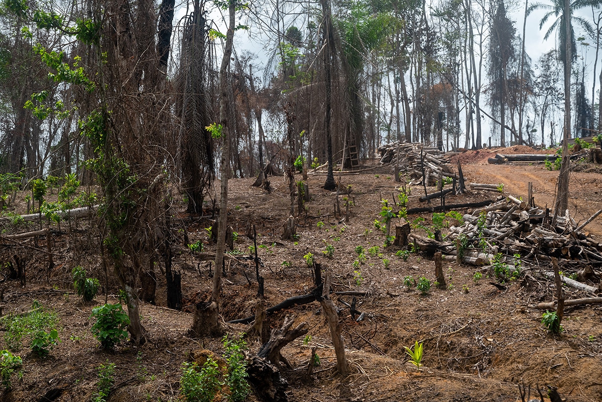Climate anxiety, Gen Zers and the future of the planet