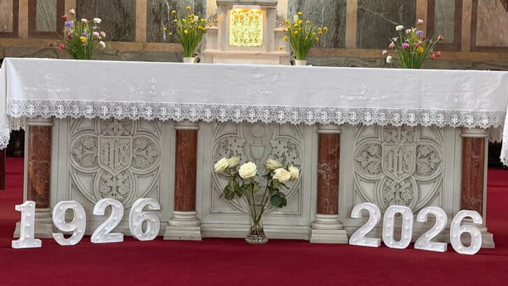 St Thérèse: the Little Flower at heart of Donore Avenue parish