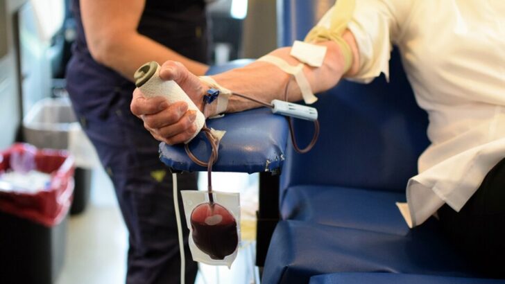 Question on gender assigned at birth could turn potential blood donors away, says bishop’s podcast