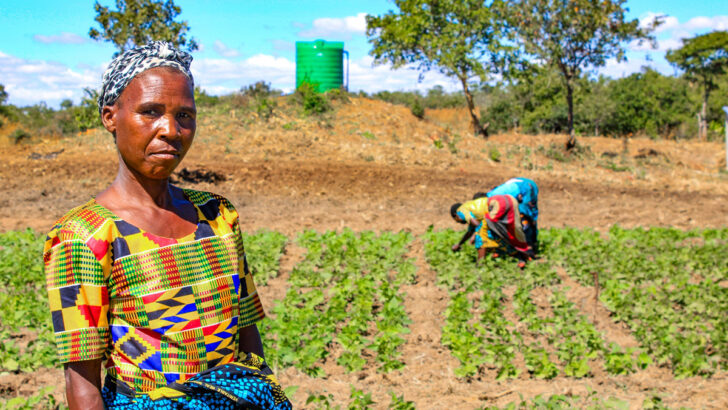 Misean Cara’s 2025 impact: building trust and accompanying disadvantaged communities