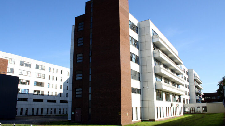 Notes from Beaumont Hospital’s accident, emergency and stroke wards