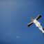 The key to peace: embracing the wisdom of the Cross of Christ