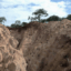 Church mourns victims of CAR mining disaster as government closes site