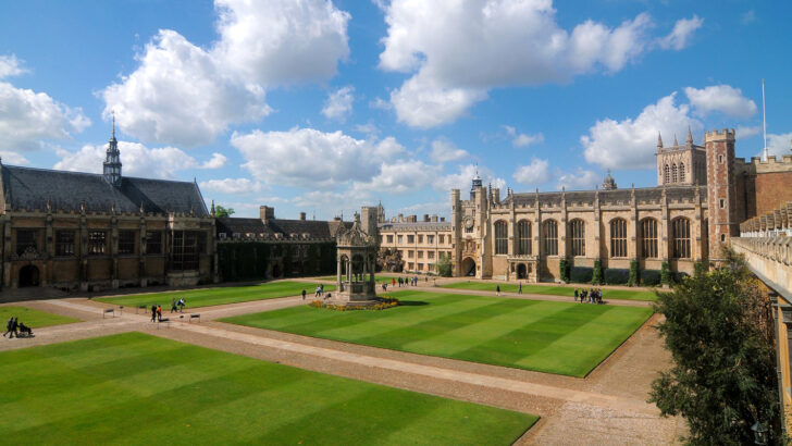 How universities are subverting their mission of free enquiry