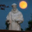 The work of St Francis in the vineyard