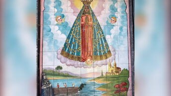 Our Lady of Aparecida: ‘Stability during the instability’