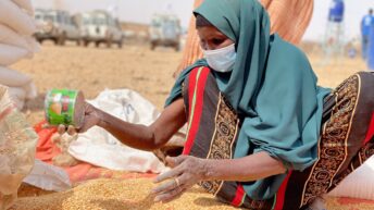 Italian Catholic community establishes new presence in Muslim-majority area of Ethiopia