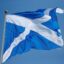 Scotland’s Catholic bishops decry Green Party abortion push