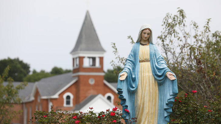 You must have a wonderful mother – For Jesus, our deepest bonds are rooted in faith not biology