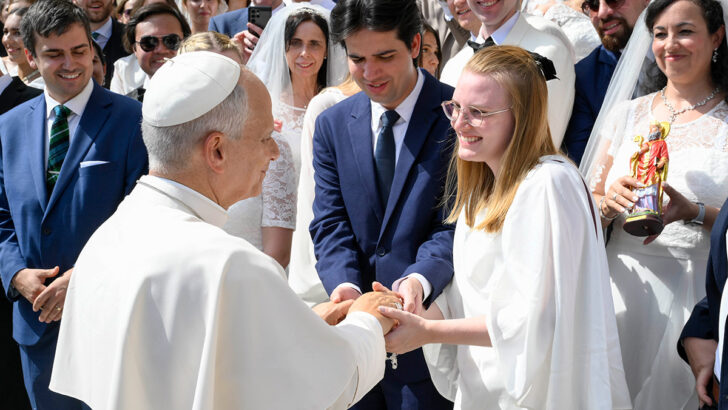 Pope Leo seeks status update of Francis’s divisive look at divorced and remarried Catholics