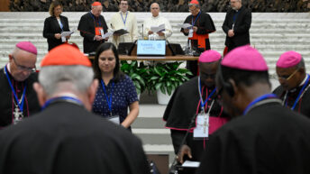 Vatican meeting examines why young people are reluctant to marry